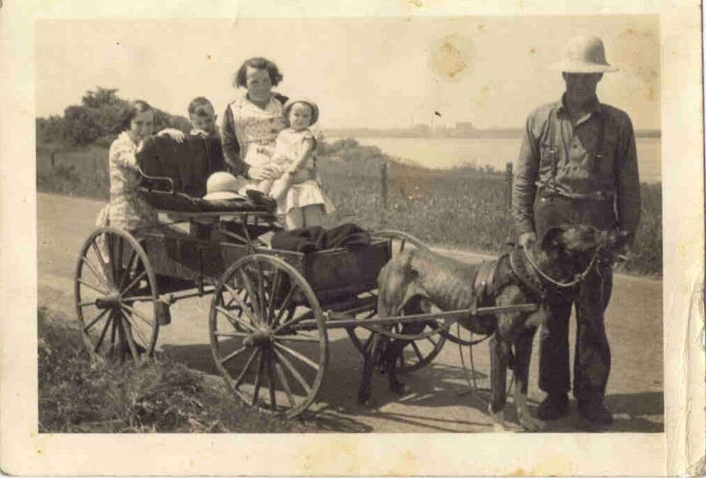 Promenade &agrave; chien &laquo;bob &raquo;. Membres de la famille Cormier de Sainte-Ang&egrave;le. Photo prise le long de la grand'Rivi&egrave;re  (on voit Trois-Rivi&egrave;res de l'autre cot&eacute; du fleuve)